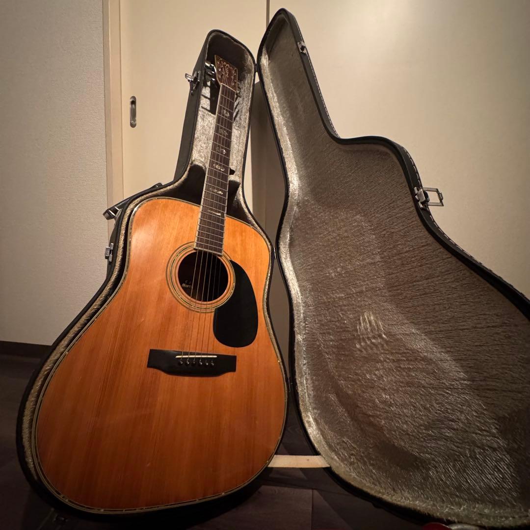 お正月価格！Morris W-60 made in Japan Morris Morris W-60 TF Acoustic Guitar Made in Japan