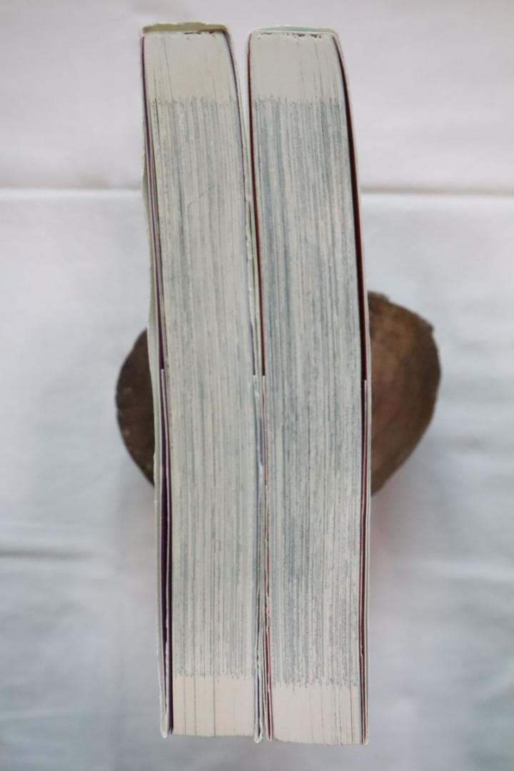 紅姉妹 耽美ロマン 3,4巻 2冊セット 如月次郎 団鬼六