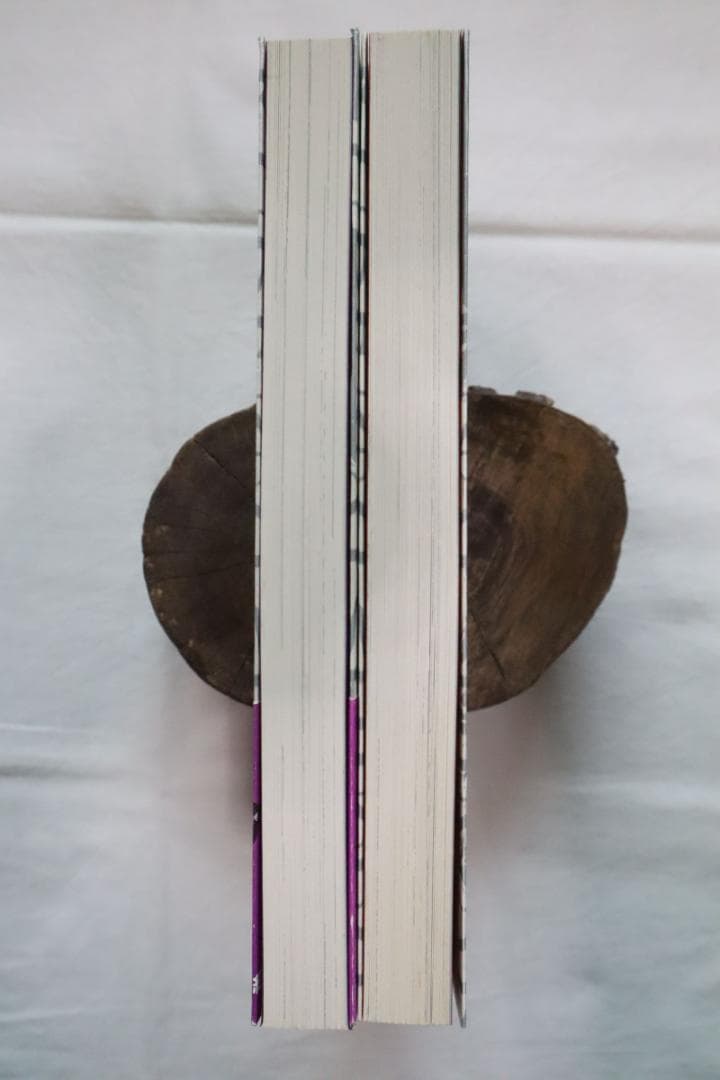 紅姉妹 耽美ロマン 3,4巻 2冊セット 如月次郎 団鬼六