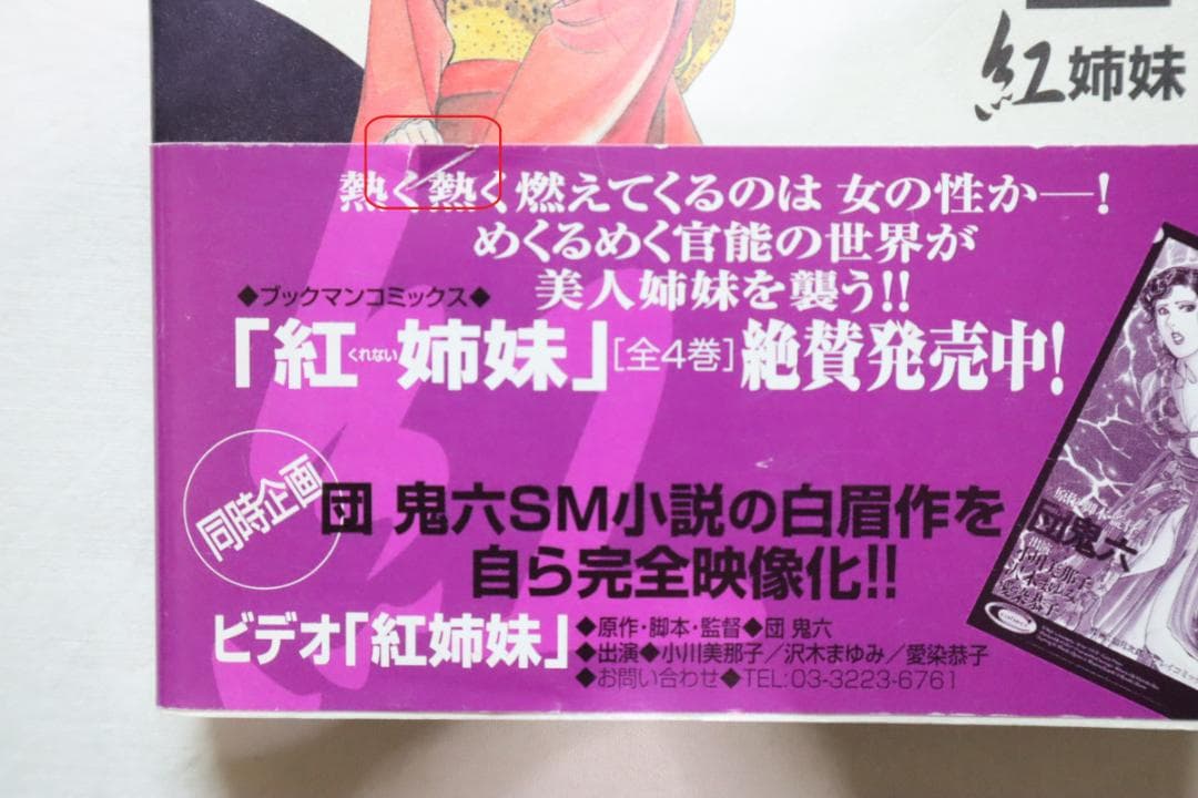 紅姉妹 耽美ロマン 3,4巻 2冊セット 如月次郎 団鬼六