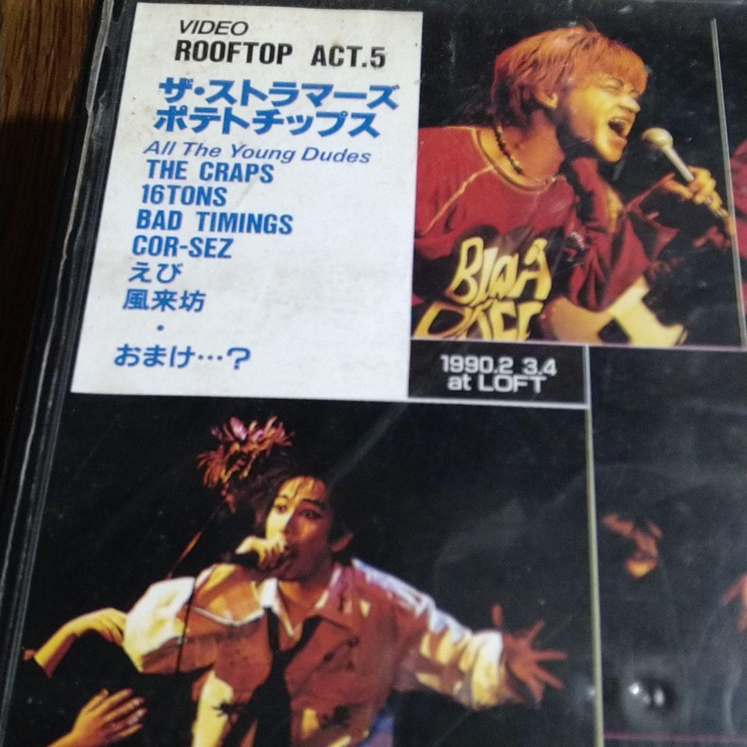 スピッツ　インディーズ期の秘蔵映像