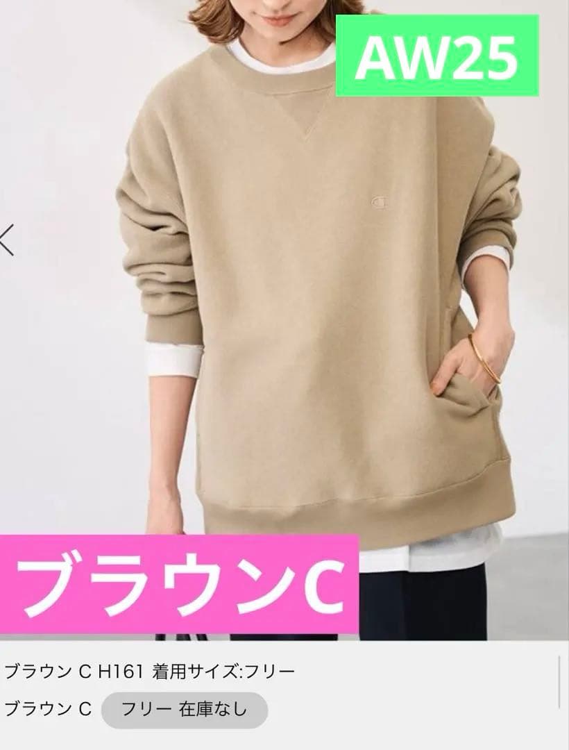 3.6℃ ダウンファブリックPO3 BROWN