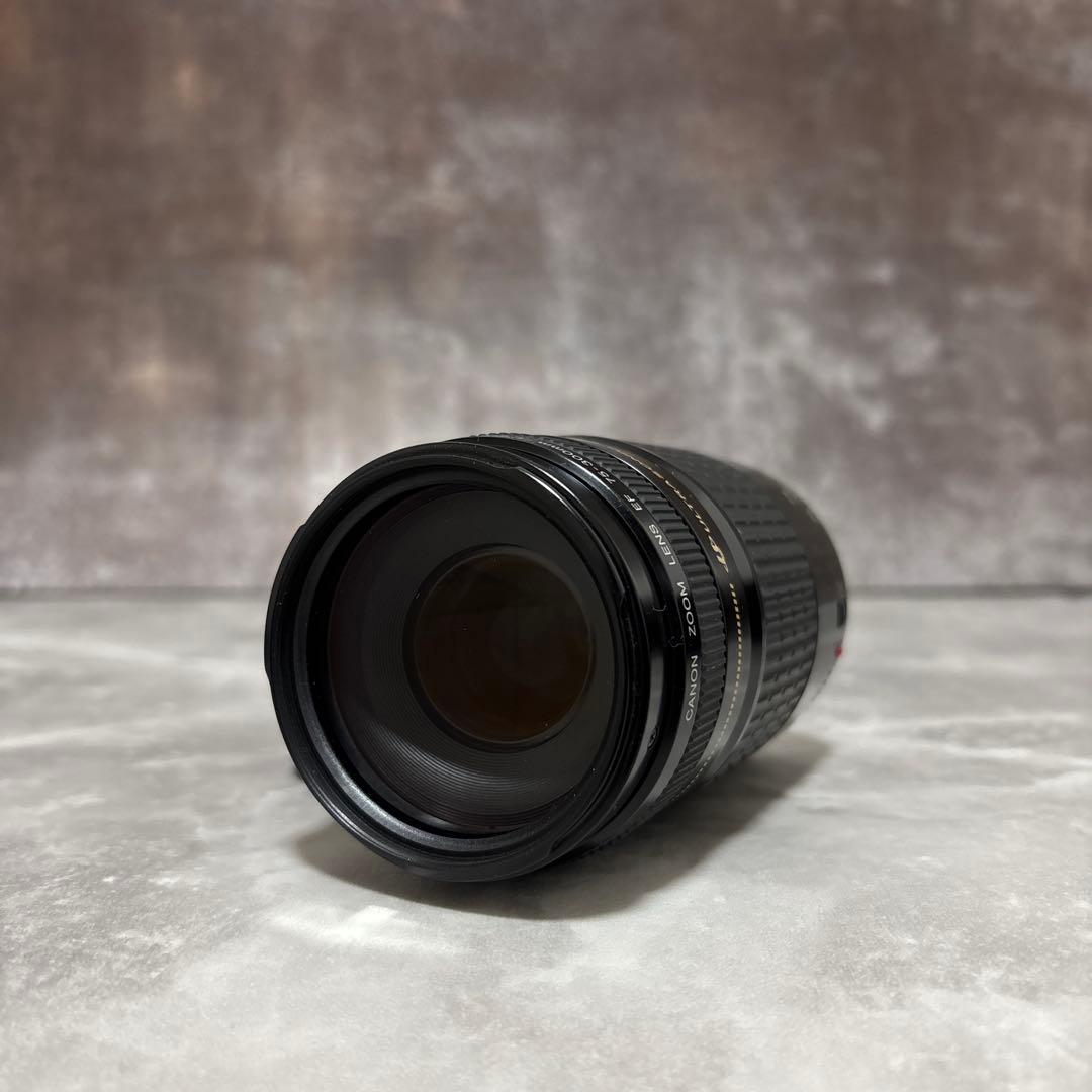 【美品・完動品】Canon EF 75-300mm f/4-5.6 USM