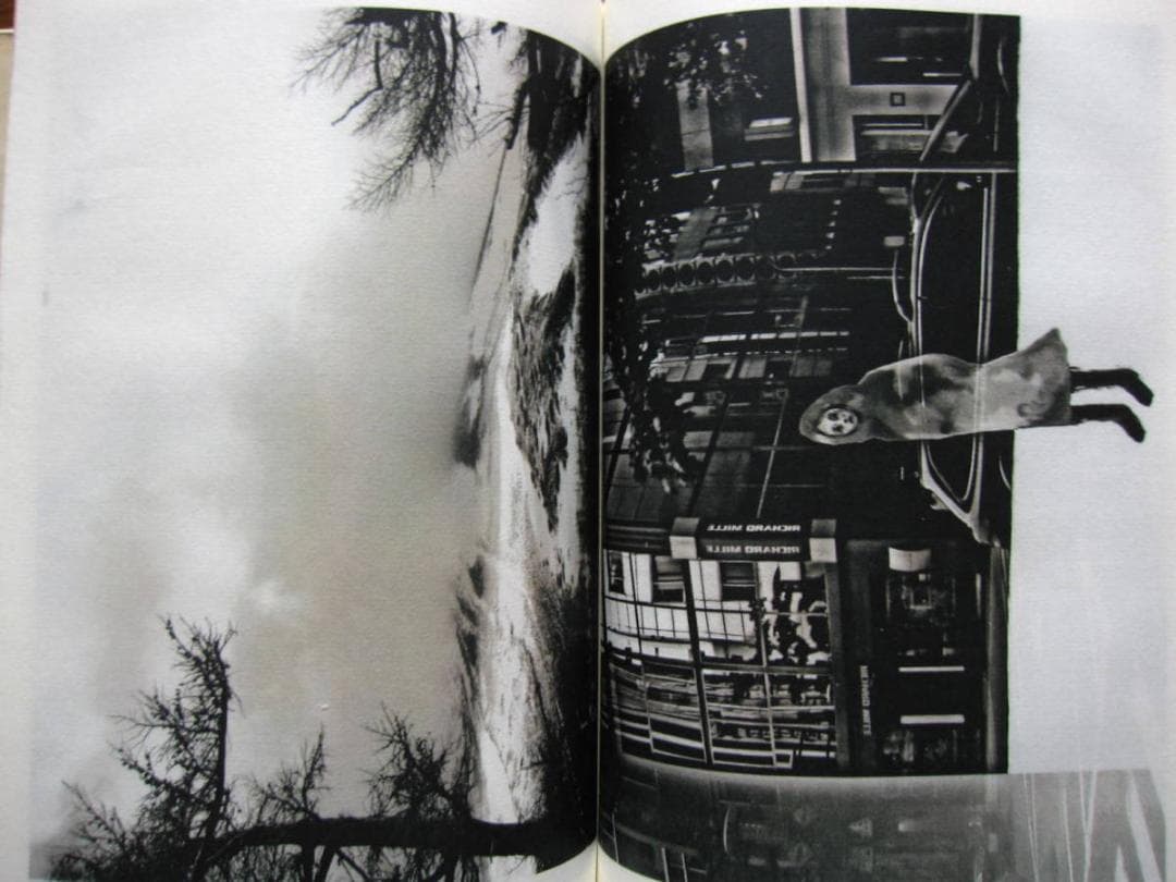 DUAL II 山脇敏次 直筆サイン入り 限定100部 - メルカリ