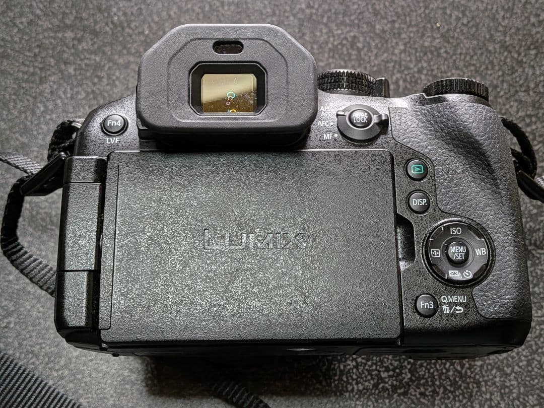 Panasonic LUMIX FZ300 + 128GBSDカード付き - メルカリ