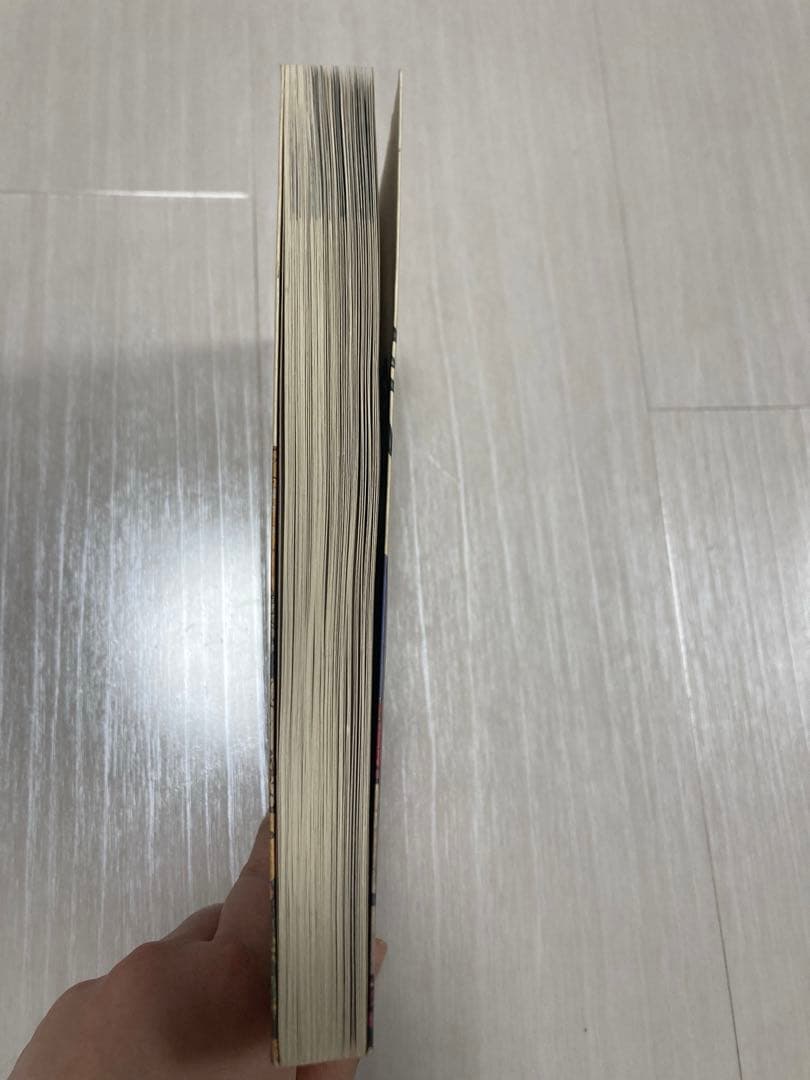 ユーラシア大陸放浪途上 (旅行ガイドにないアジアを歩く) 澤村浩行 梨の木舎