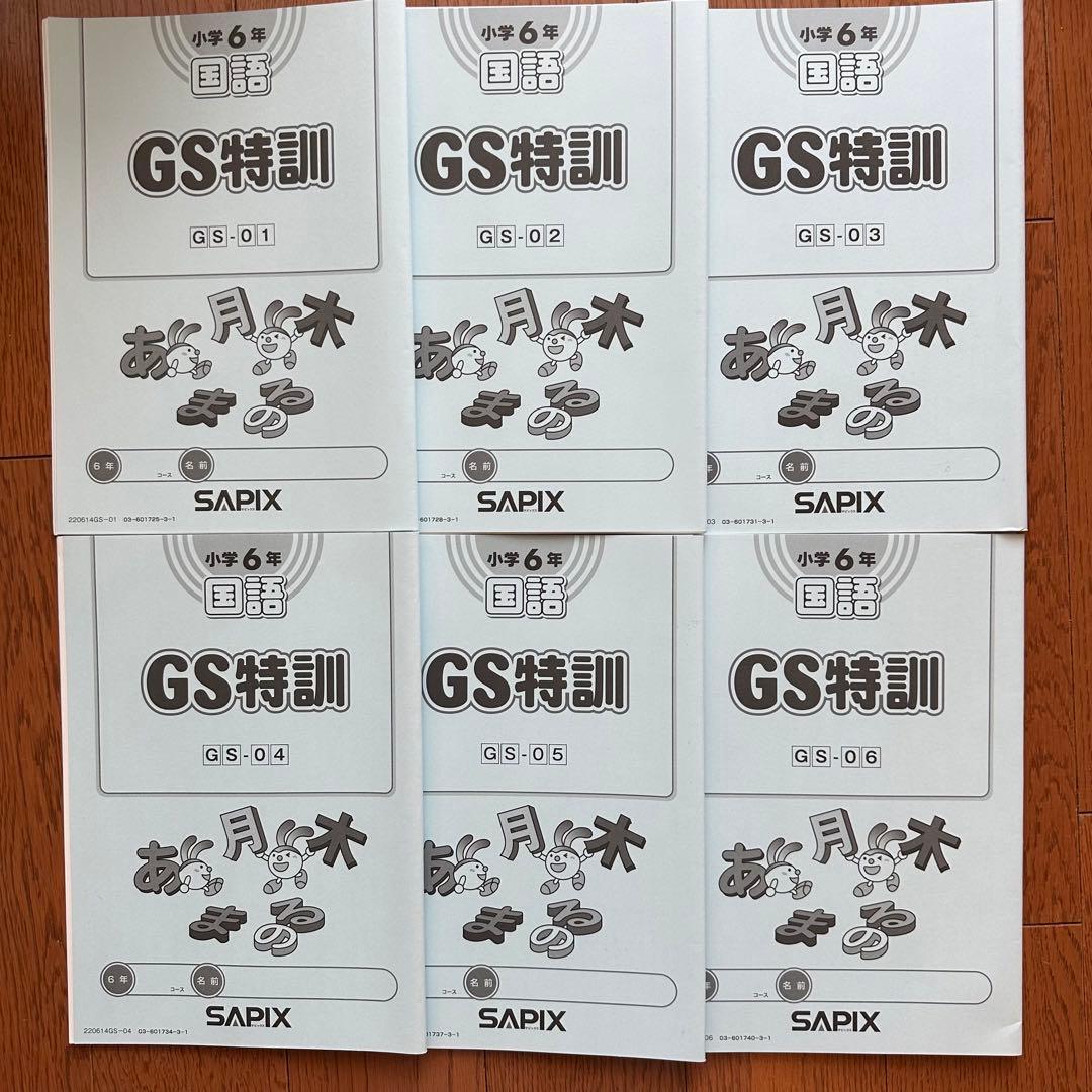 サピックス6年 GS特訓(GW講習) 未使用テキスト 4教科フルセット - メルカリ