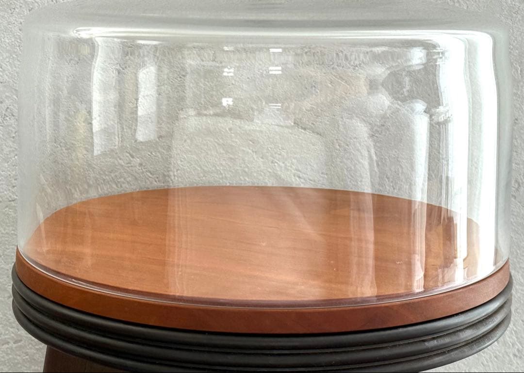 蠣崎マコト ケーキドーム大サイズ 未使用品 蠣崎マコト ケーキドーム大サイズ 未使用品