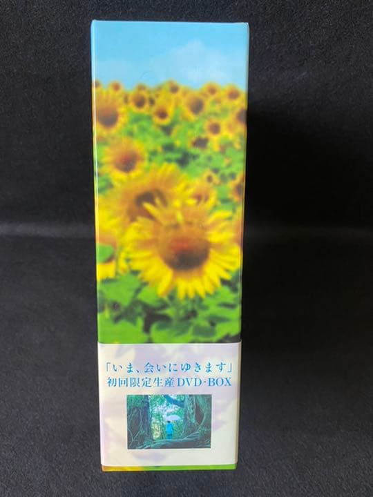 いま,会いにゆきます DVD-BOX('04「いま,会いにゆきます」製作委員会…