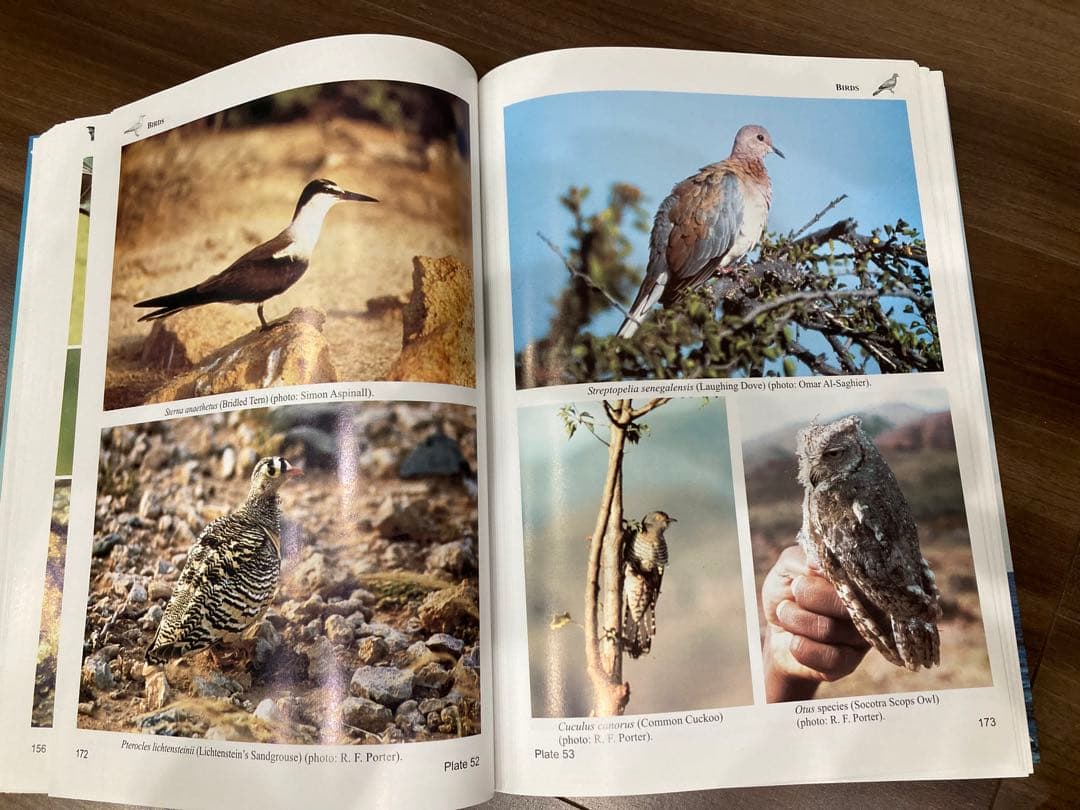 Fauna of the Socotra Archipelago Field - メルカリ