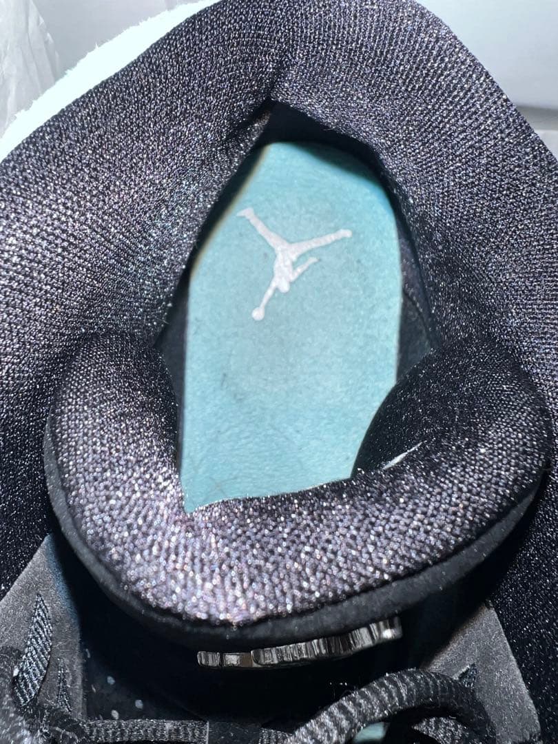 シューズ(男性用) Air Jordan 13  Green 29.5cm