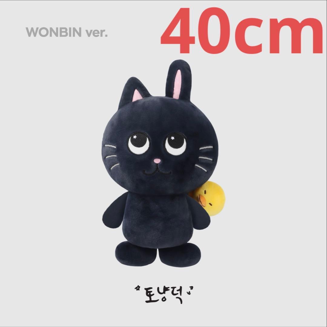 40cm ウォンビン トニャント ぬいぐるみ ライズ riize トレカ - メルカリ