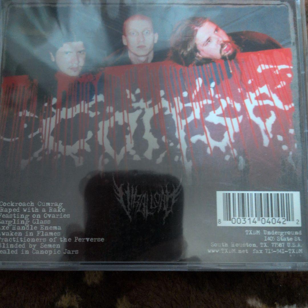 viral load 貴重TXDM