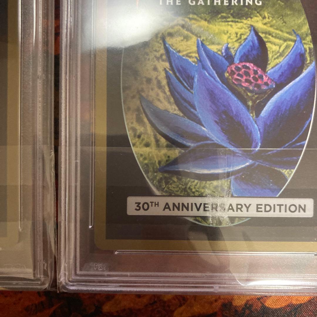 PSA10 新枠 旧枠 2枚セット Lord of the Pit 30th - メルカリ