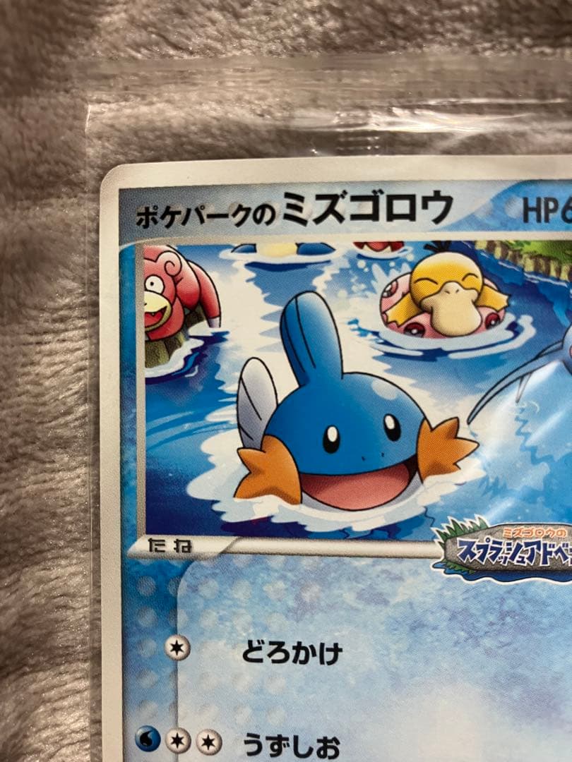 ポケパーク 未開封 14枚 ルギア レックウザ ミズゴロウ アチャモ