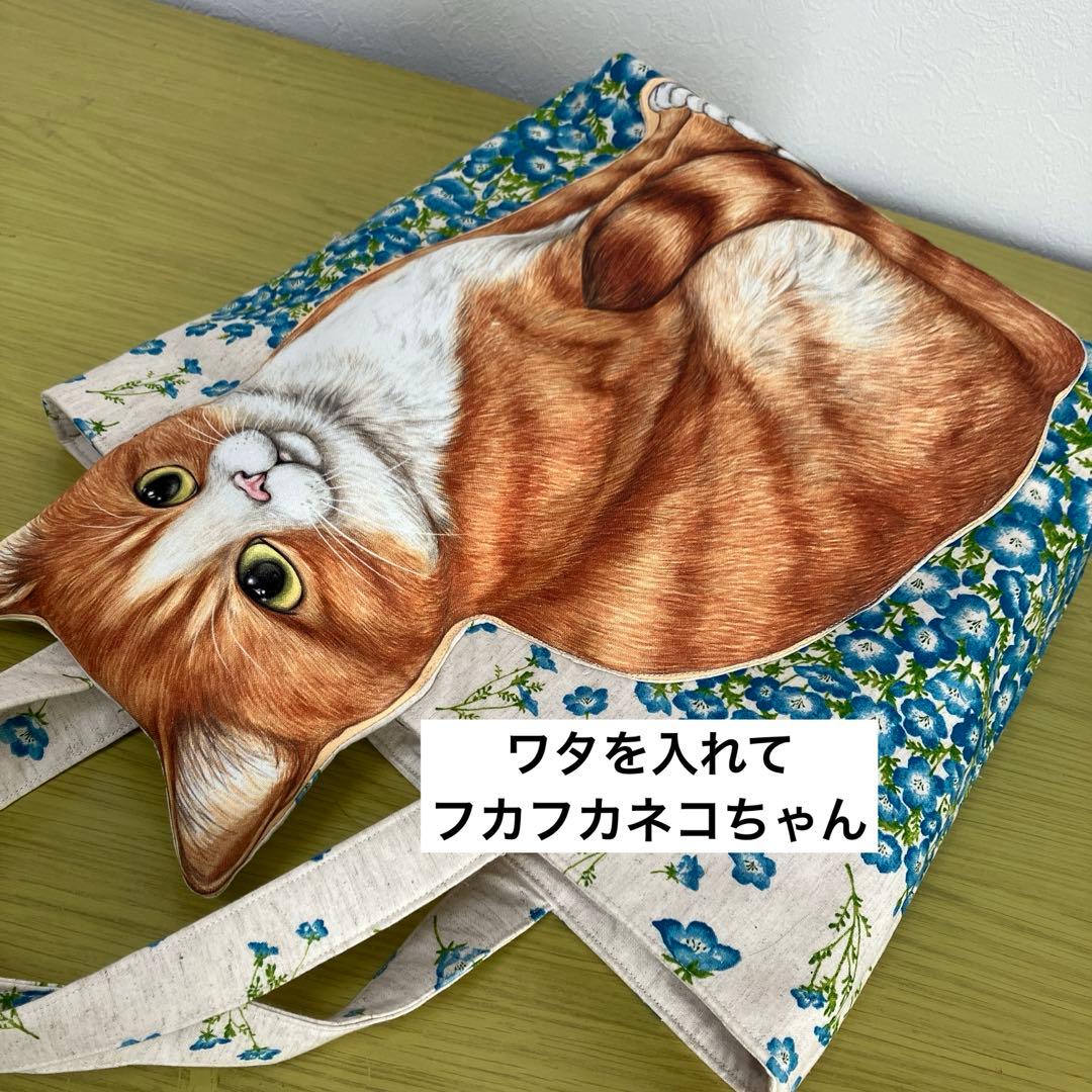 コヤンイサムチョン ネモフィラ 超ビッグふっくらネコちゃん 横41縦30