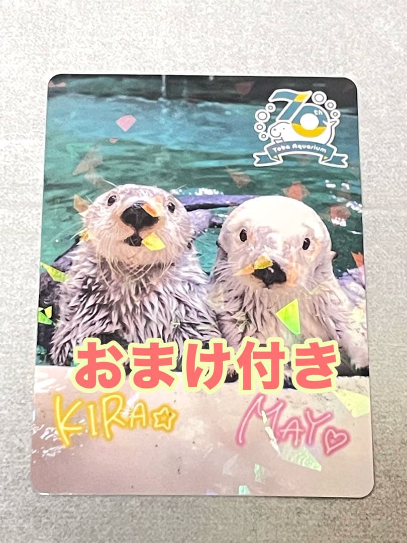 【匿名配送】鳥羽水族館　TOBA AQUARIUMコレクションカード　キラメイ ラッコのメイとキラだけじゃない！ レア含め全81種、鳥羽水族館が