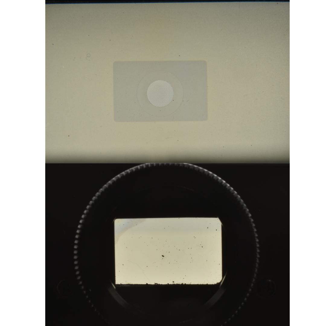 整備済 完動 CANON 旧F-1 前期 ボディ アイレベルファインダー - メルカリ