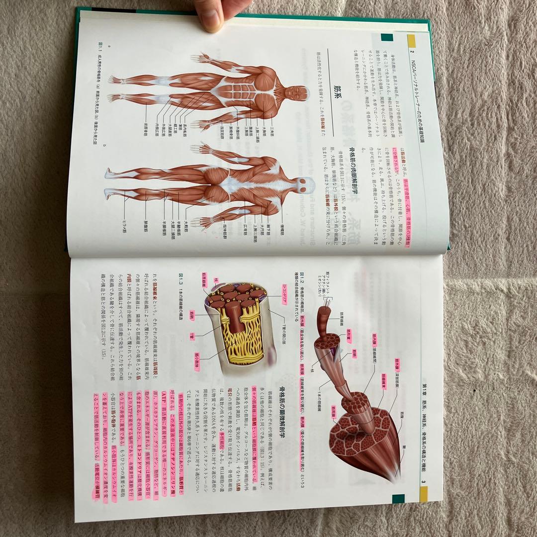 NSCA パーソナルトレーナーのための基礎知識 第3版 - メルカリ