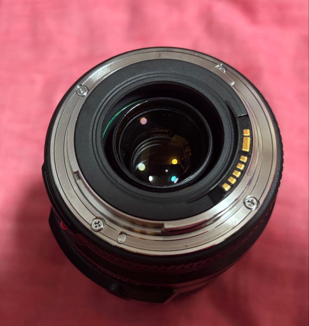 Canon EF 70-300mm f/4-5.6 IS USM ズームレンズ