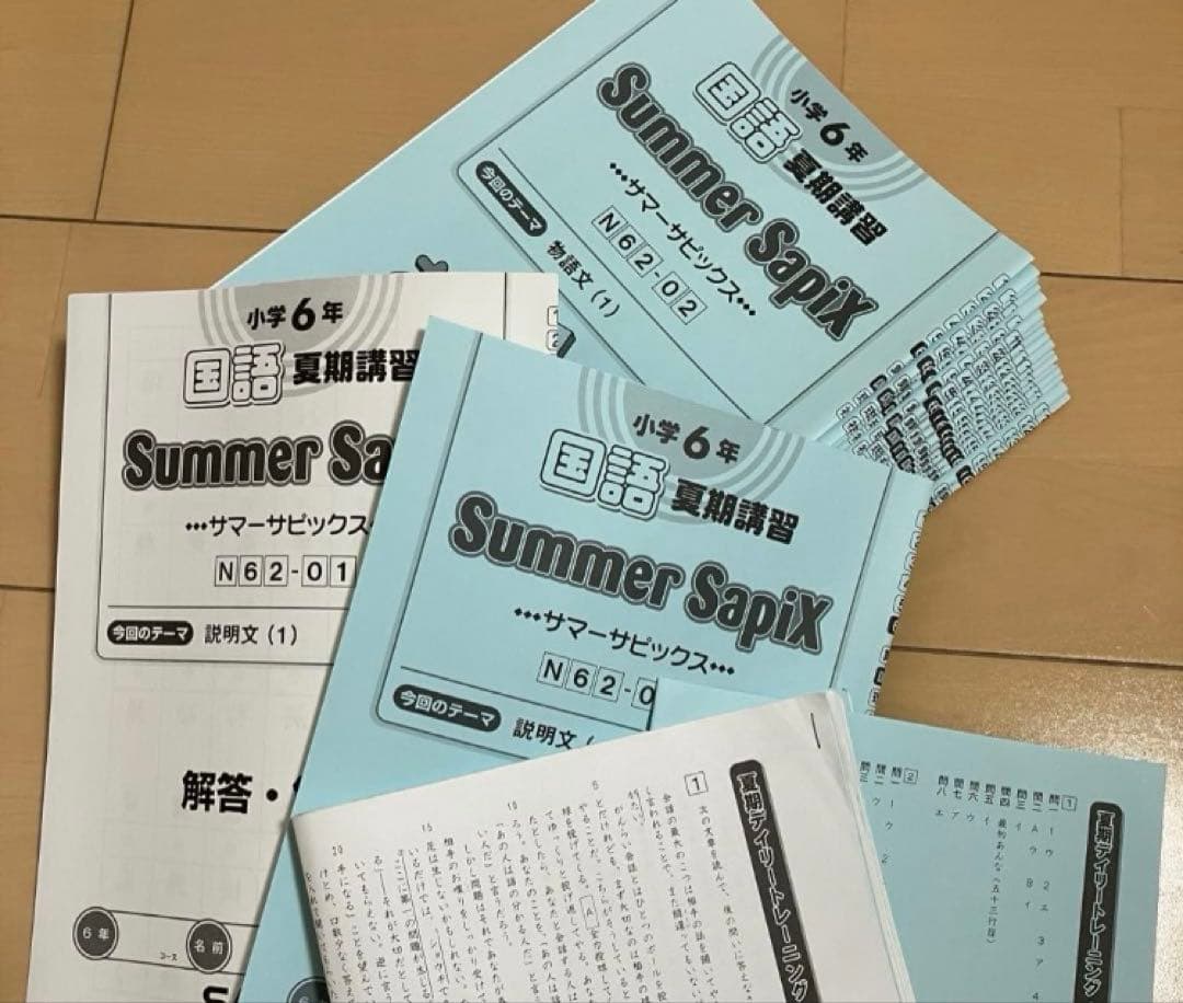 小6 国語 デイリーサピックス 24回分+春期講習•夏期講習 ウィークリー