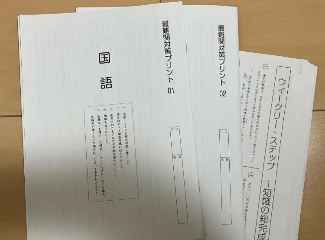 小6 国語 デイリーサピックス 24回分+春期講習•夏期講習 ウィークリー