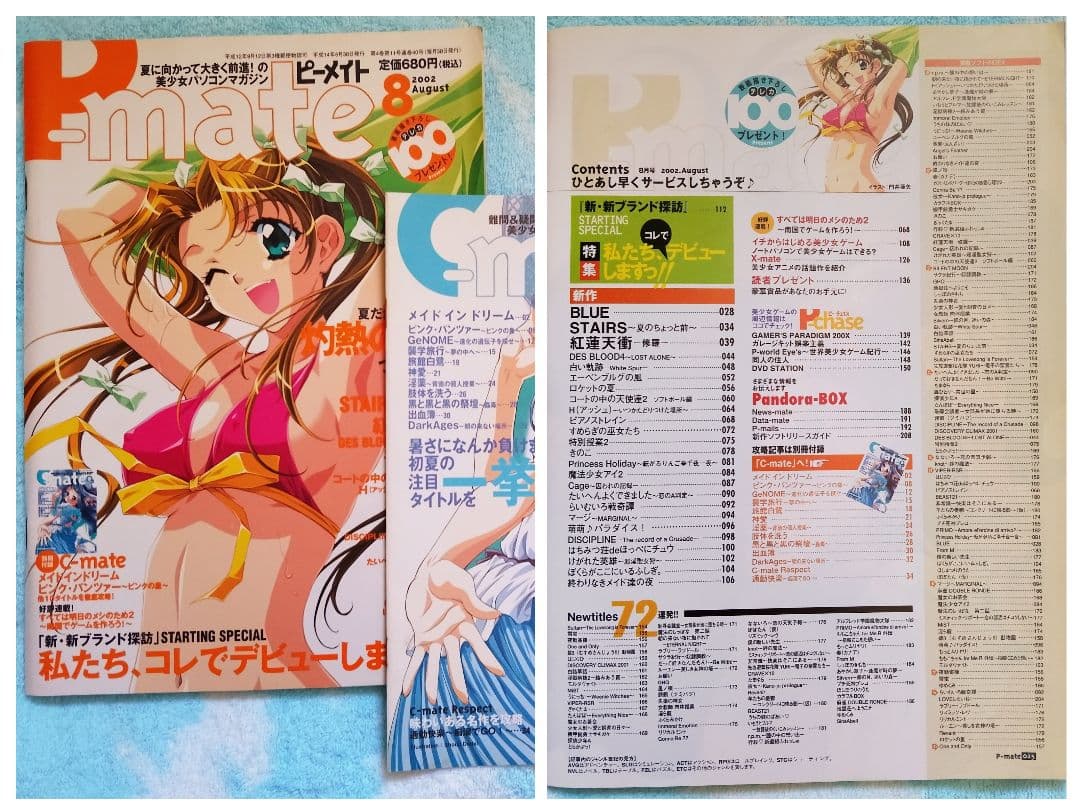 ピーメイト　2002年1月号〜12月号セット