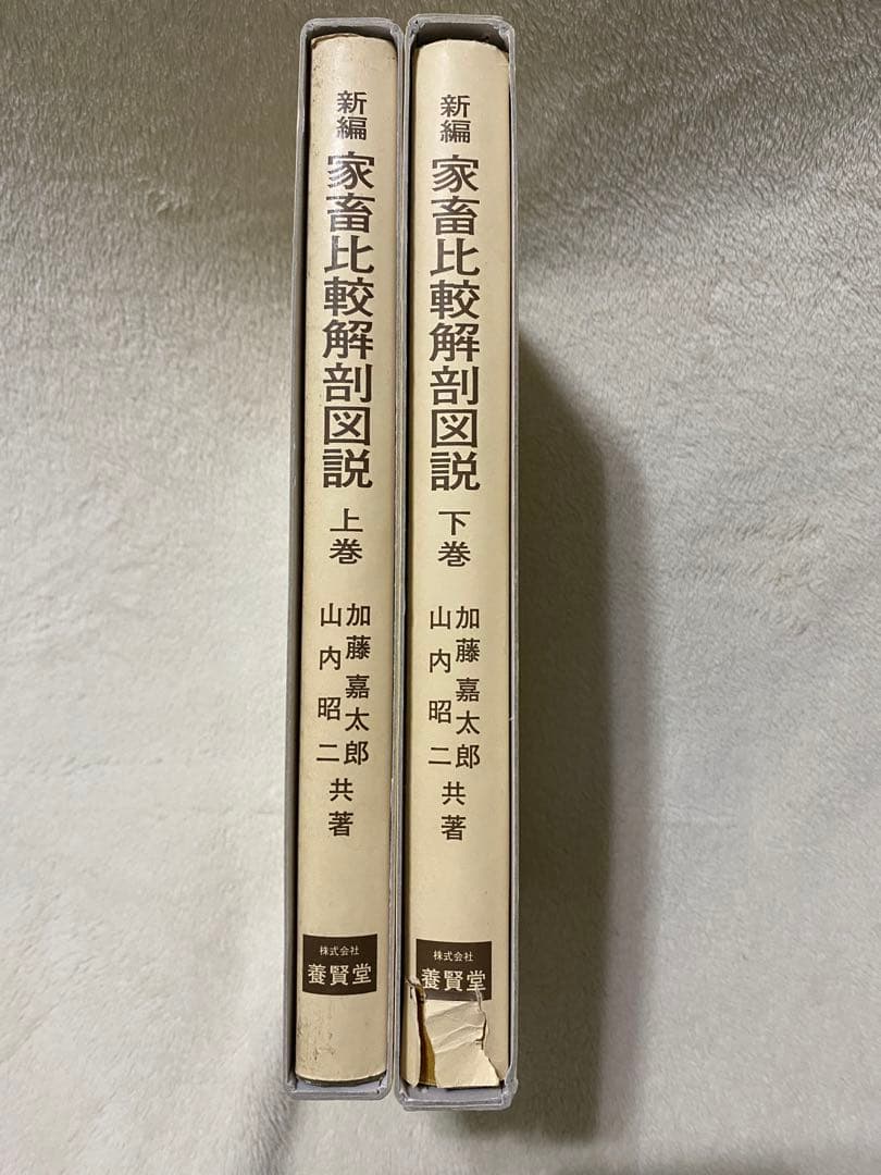 新編 家畜比較解剖図説 上巻・下巻 (下巻のみ裁断済み) - メルカリ
