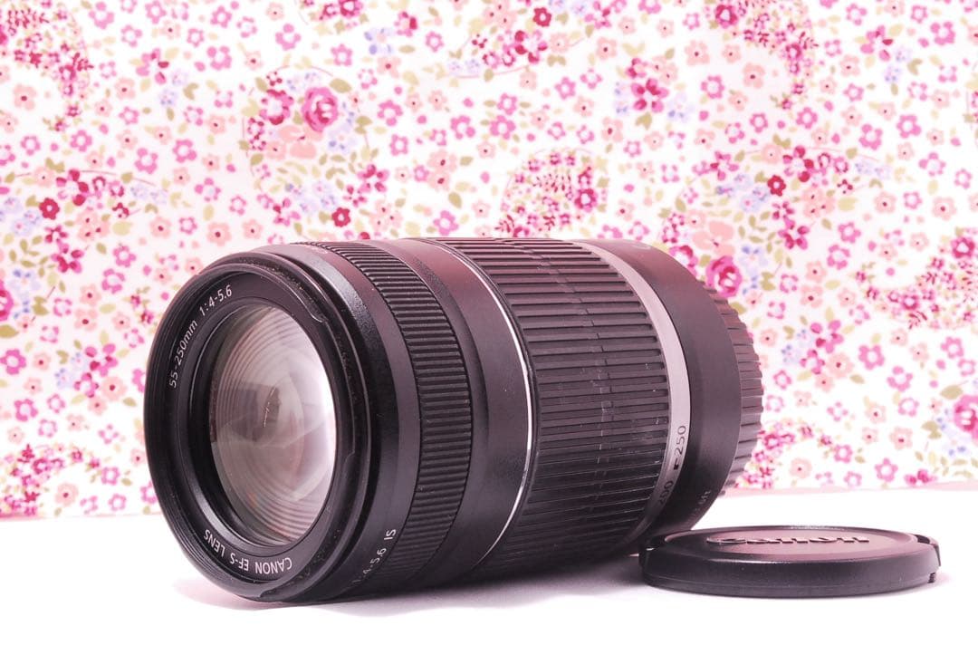 【超美品】Canon EF-S 55-250mm f/4-5.6 レンズ