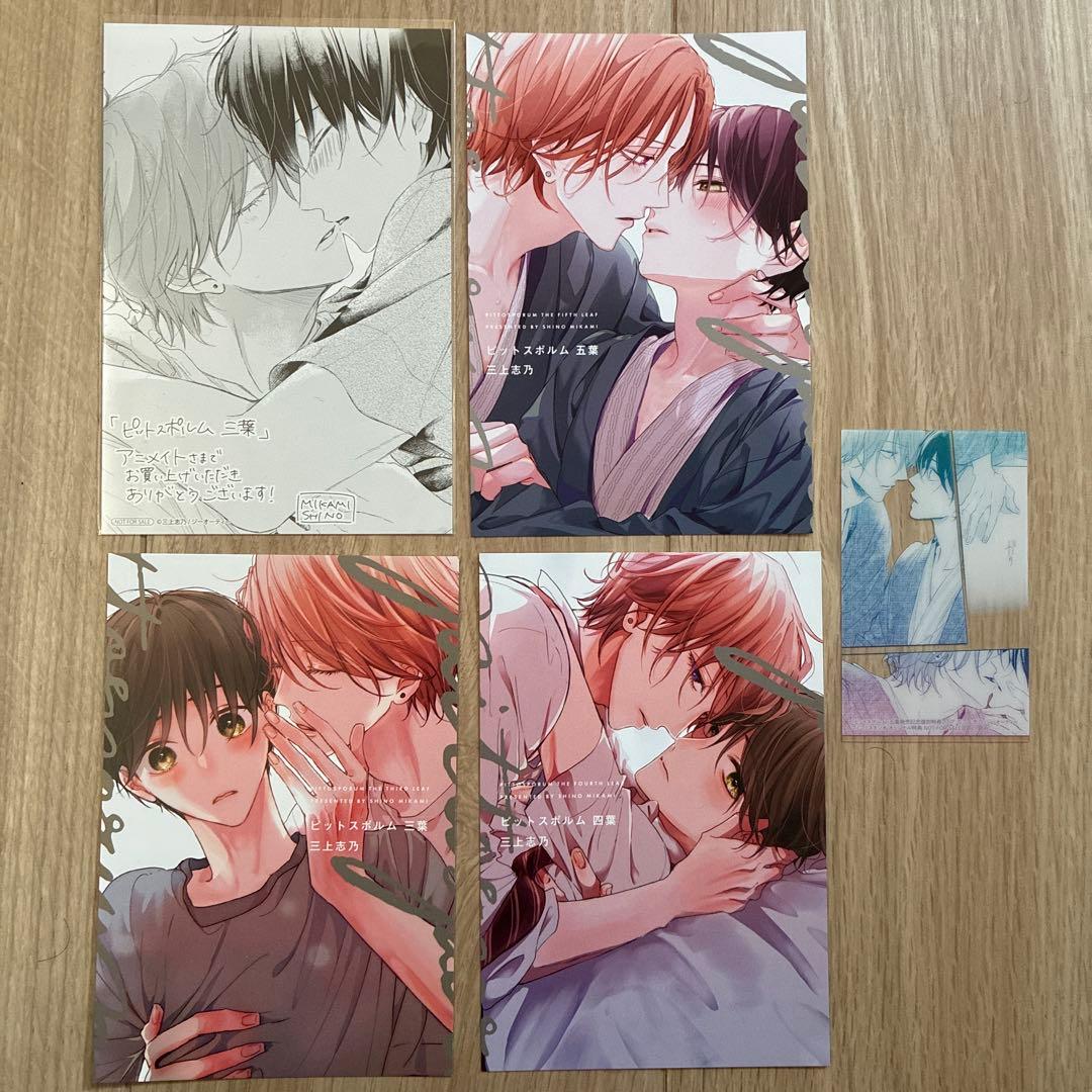 ピットスポルム 特典20点 小冊子 リーフレット イラストカード クリア