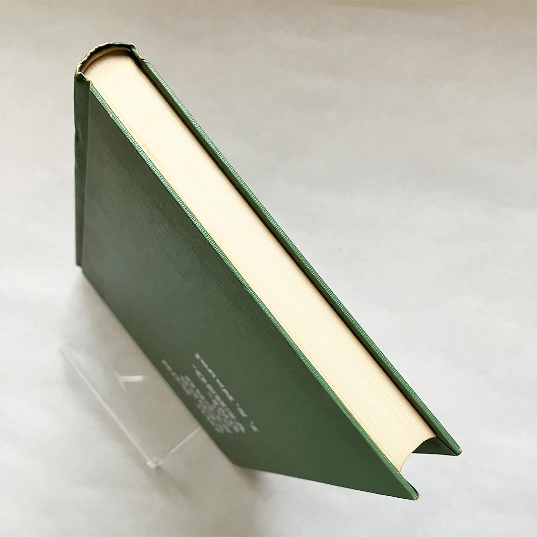 大空詩人 自叙伝・青年篇 永井叔