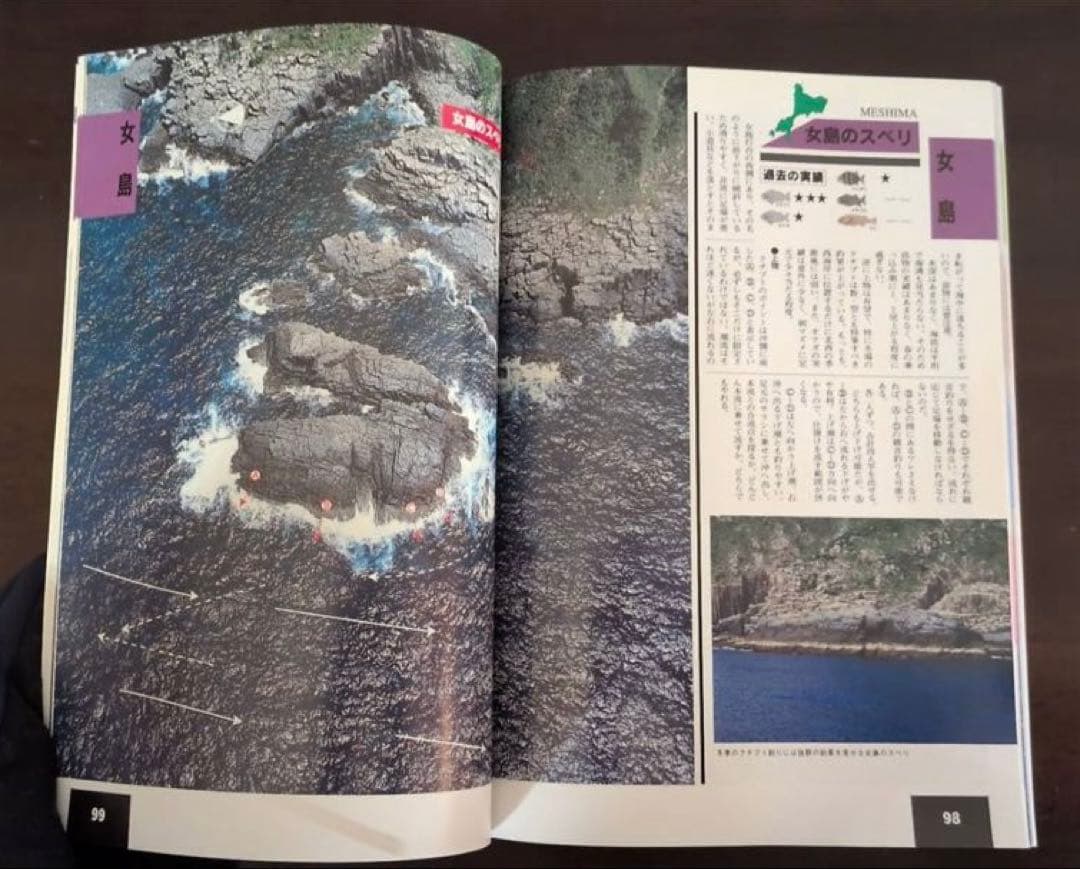 ［新品・未使用］ ザ・男女群島　完全活用マニュアル　ライトハウス出版