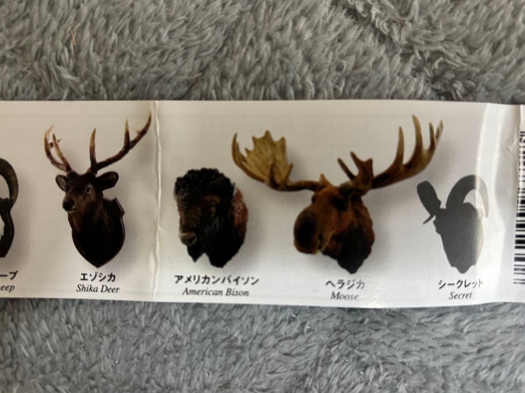 ハンティングトロフィー シークレット エゾシカ ヘラジカ ドールシープ