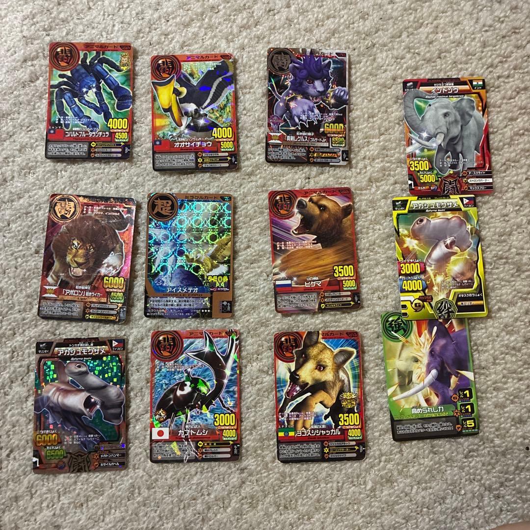 アニマルカイザー カードセット 36枚 - メルカリ