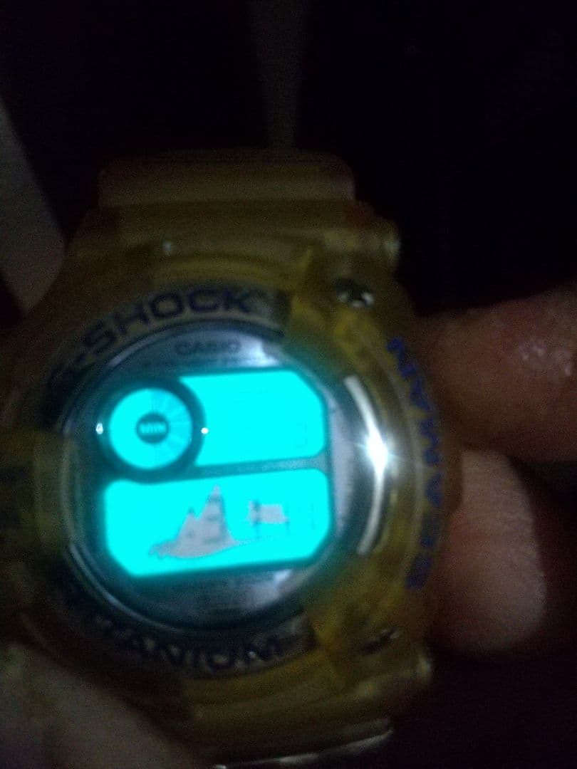 希少 G-shock DW9950WC 電池交換済み