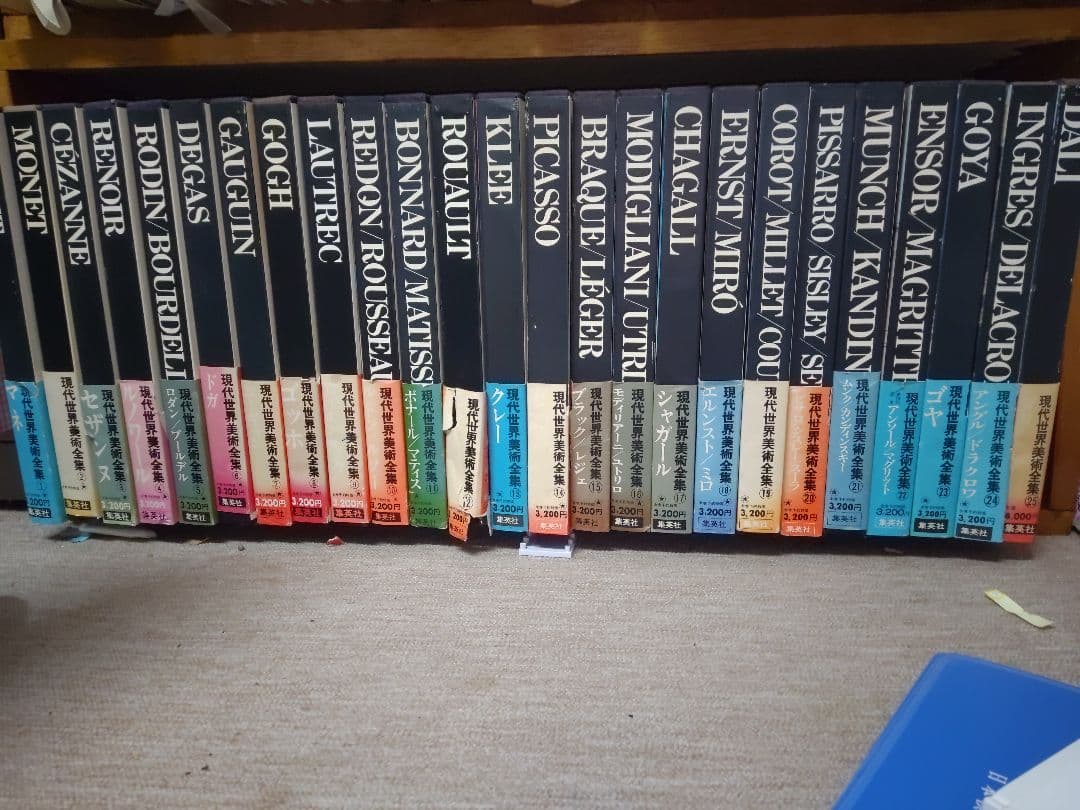 集英社　現代世界美術全集　全25巻 現代世界美術全集〈超ワイド版〉（全25巻揃）(監修：梅原龍三郎／谷川