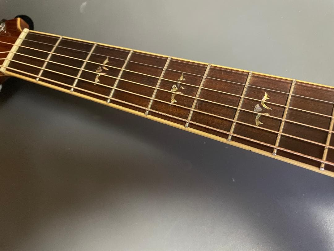 Takamine Cooder TCP-560VB - ギター最低 価格