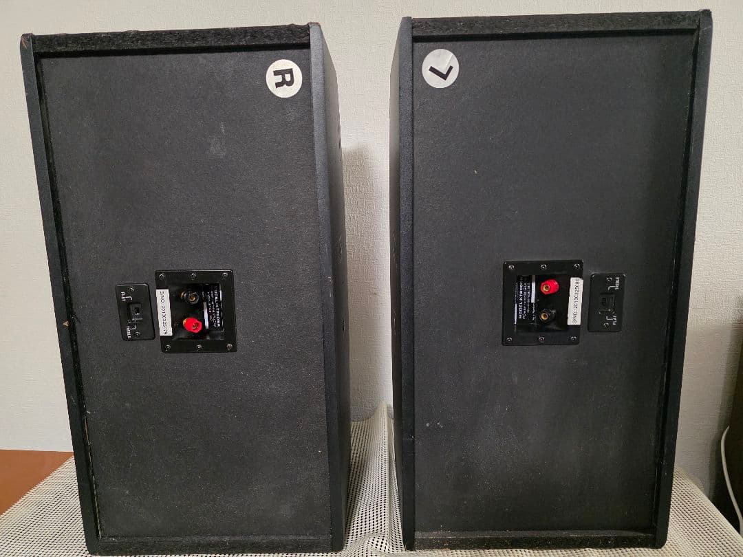 Karaoke スピーカーCLASSIC PRO KT200BR ペア