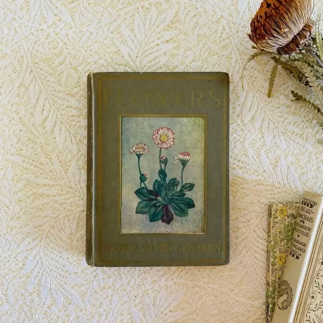 洋書 古書 アンティーク イギリスの植物図鑑 美しいカラー図版48点