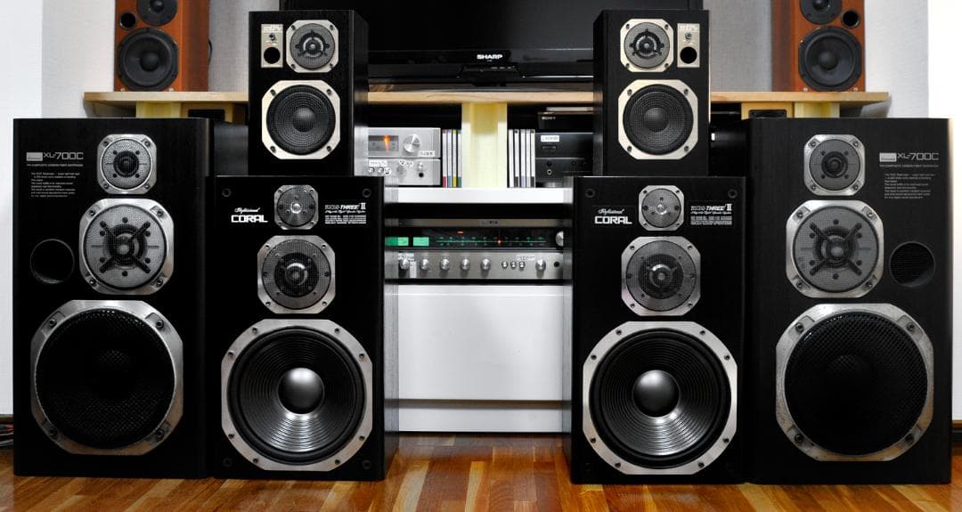 ★これはあなどってはならないCORAL EX-102AVが放つ羊の皮をかぶった狼