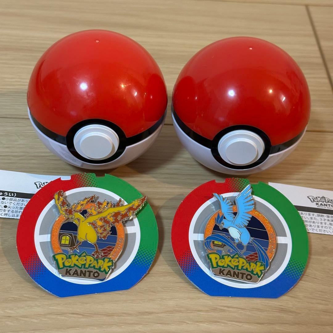 ポケパークカントー フリーザー ファイヤー セット ピンバッジ ピンズ