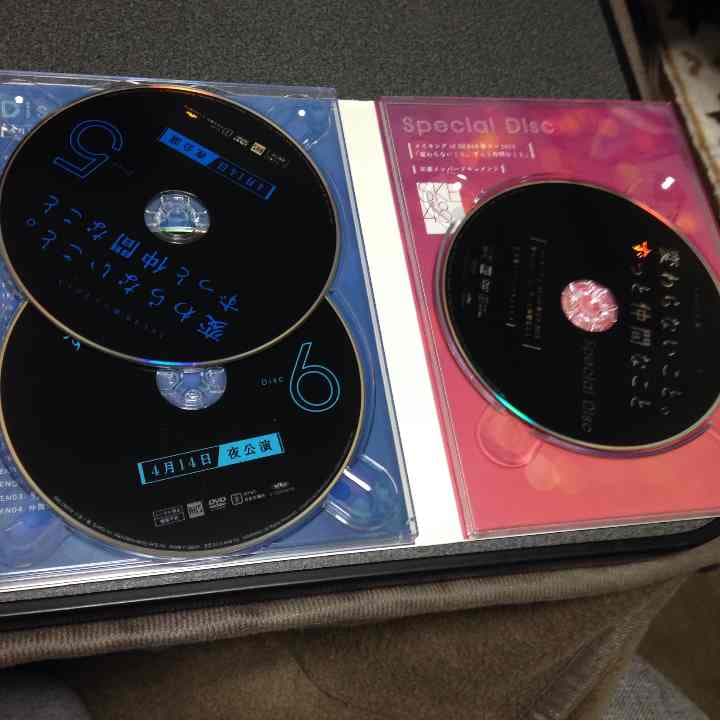 SKE48春コン2013 DVDセット