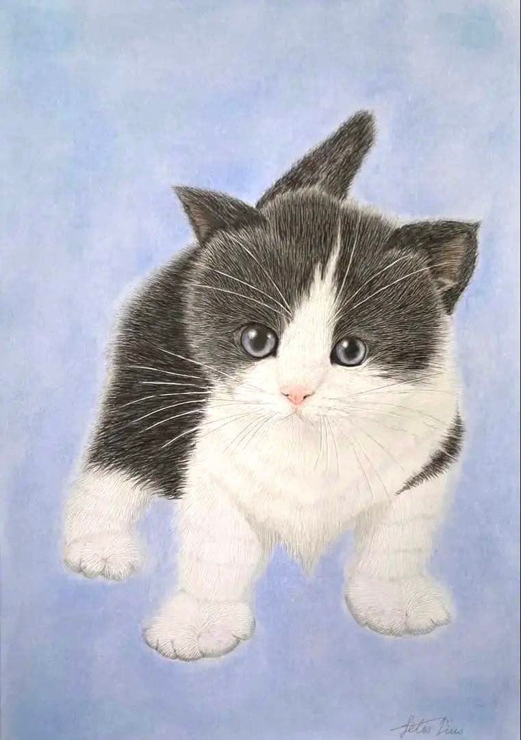 猫 色鉛筆画 ハチワレ子猫 A4サイズ - メルカリ