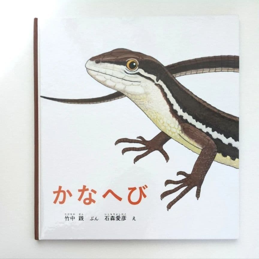 【かがくのとも絵本】かなへび 竹中践　石森愛彦　福音館書店　よみきかせえほん かなへび | 竹中践,石森 愛彦 | 7件のレビュー | 絵本ナビ：レビュー・通販