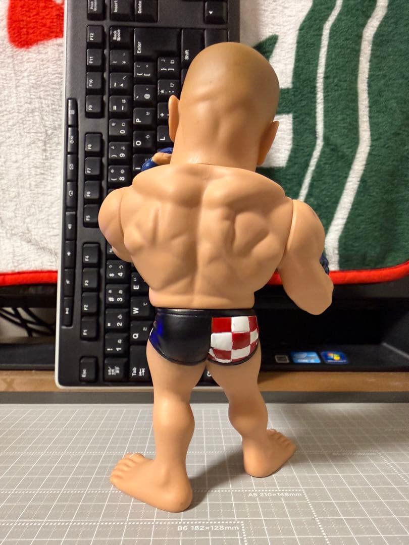 HAO コレクション フィギュア ミルコ・クロコップ PRIDE - メルカリ