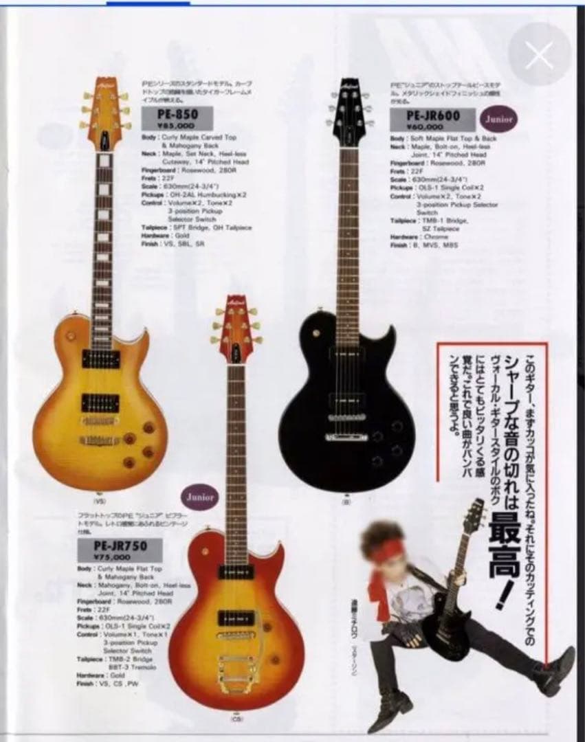 90年代激レアモデル】Aria ProⅡ PE-JR600 遠藤ミチロウ - メルカリ