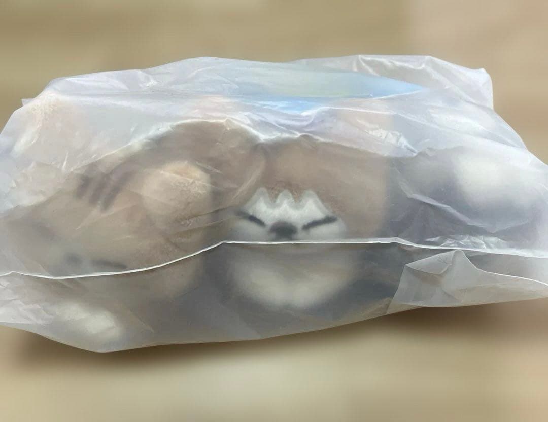 リノ メンプロ キーリング スンドゥンドリ straykids 特典トレカ付