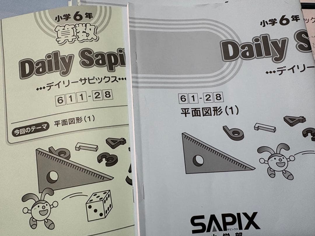 最新2025年度版 算数平日授業全テキスト サピックス小学6年 セット中学