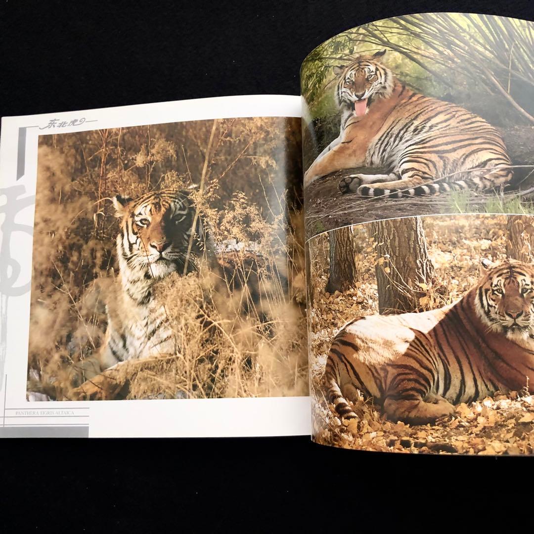 アムールトラ（シベリアトラ）写真集「東北虎 上・下巻」2冊セット 刘丹 撮影