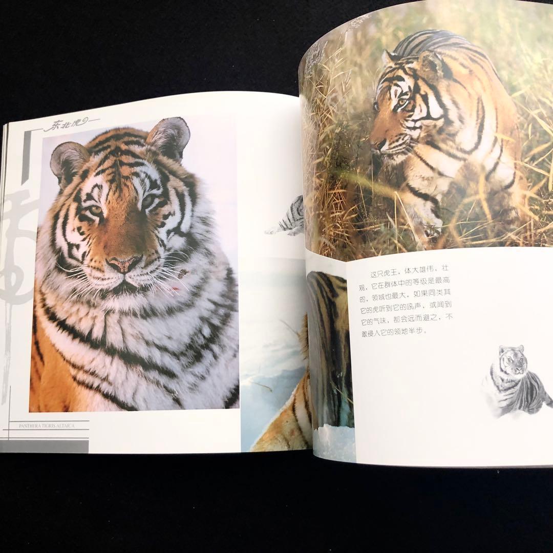 アムールトラ（シベリアトラ）写真集「東北虎 上・下巻」2冊セット 刘丹 撮影